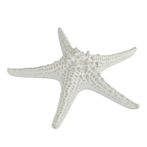 Блюдо "Звезда" 24 см, керамика "Frutti di Mare" P.L.